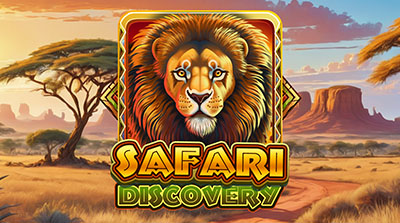 Safari Discovery